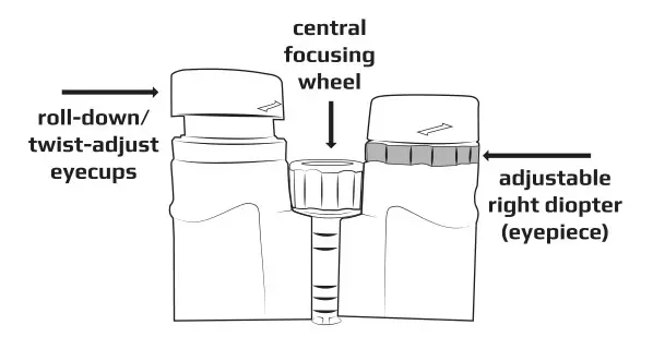 CARSON CSNVP250 Full Size Binoculars - INDIVIDUALLY ESTABLISHING LEFT RIGHT EYE FOCUS