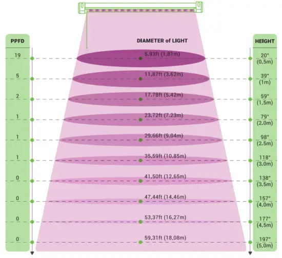 SUNCO Light for Indoor Plants 40W - LIGHT DISTRIBUTION