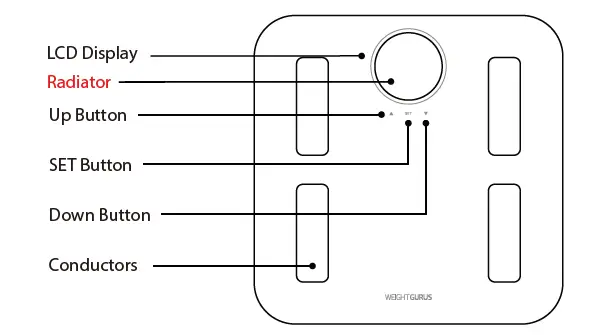 greater-goods-0385-WIFI-Smart-Scale-FIG-2