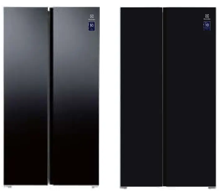 Electrolux ESE6600A AVN Refrigerator