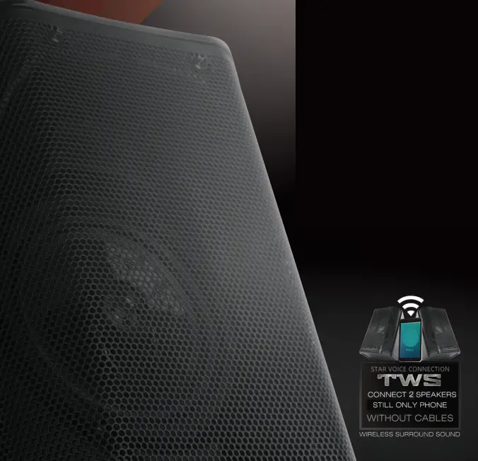 STAR VOICE SV-II Amplified Speaker - fig 2