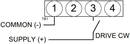 neptronic DT060S Low Voltage Actuators B01