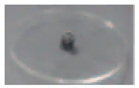 Rotating Curing Platform