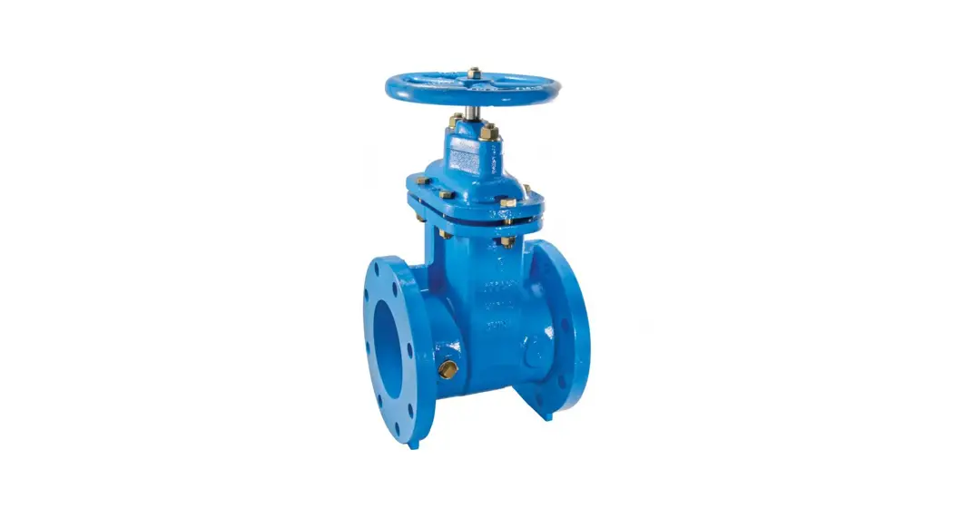 Watts Dn50-100mm Ductile Iron Gate Valve Instruction Manual