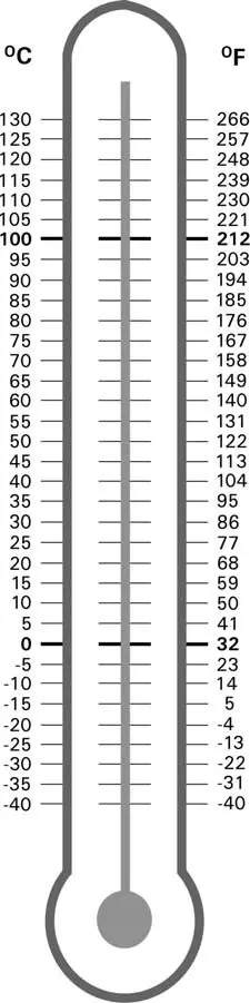 VIESSMANN Vitocrossal 200 CI2 Gas Condensing Boiler - Burner Filter 2