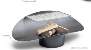 Fireplace & grill
