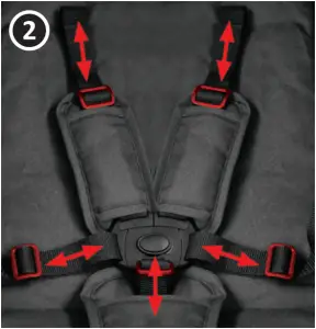 HARMONY Odyssey - Adjust Harness 2