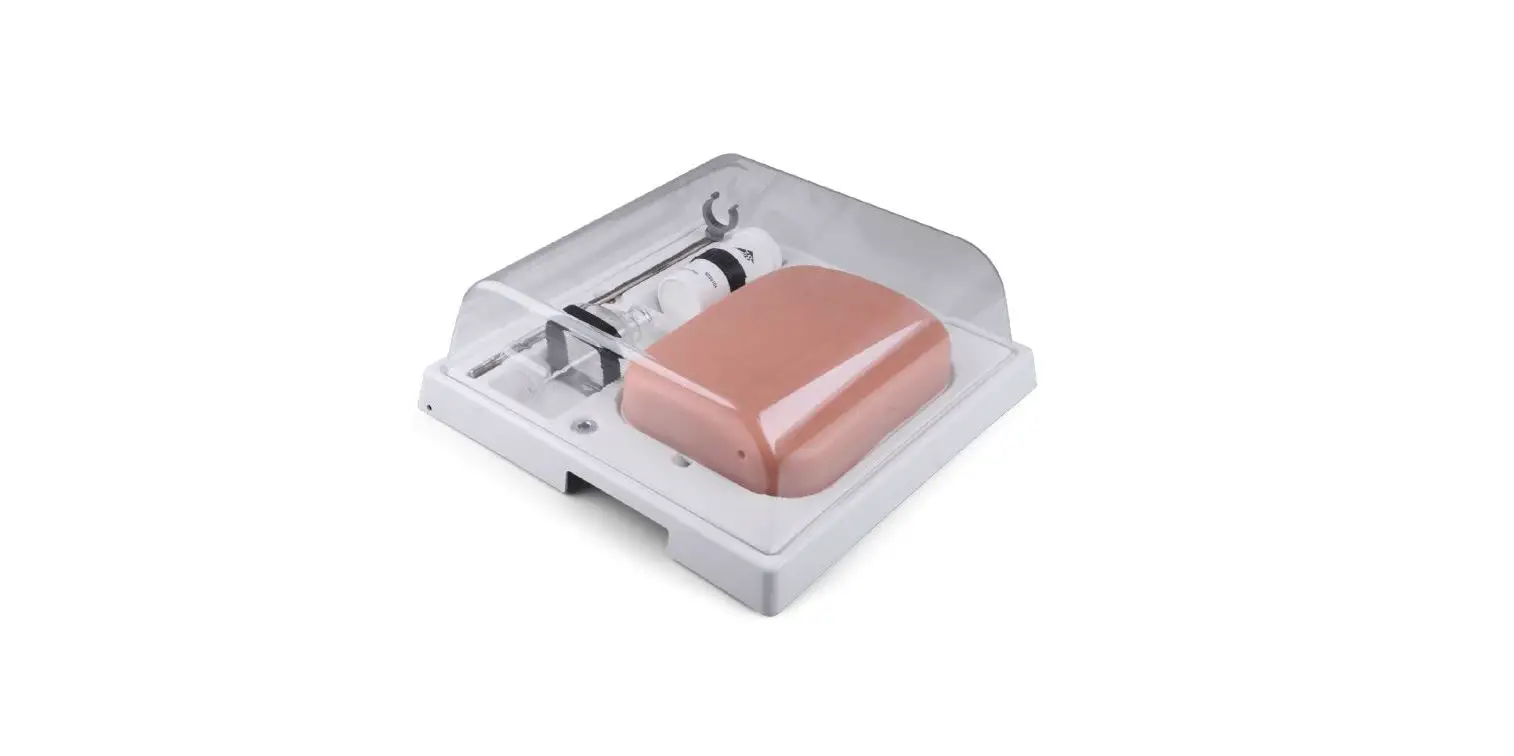 3b Scientific 1019637 Sonotrain Ultrasound Vein Model User Manual