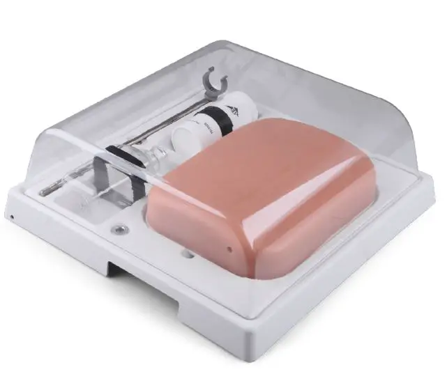 3B Scientific 1019637 SONOtrain Ultrasound Vein Model FIG 1