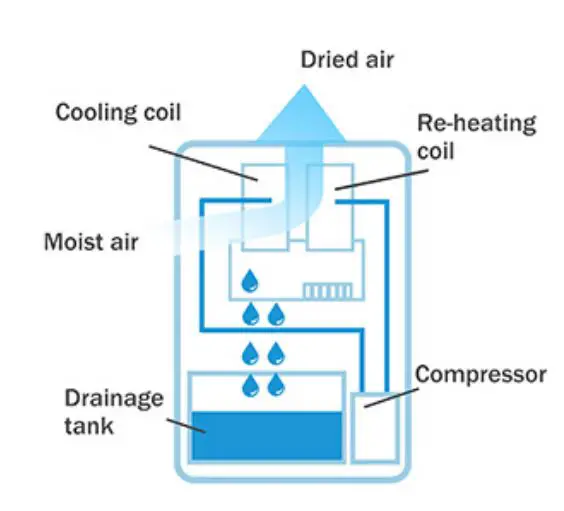 Shinco-SDZ1-70P-P-Dehumidifier-3