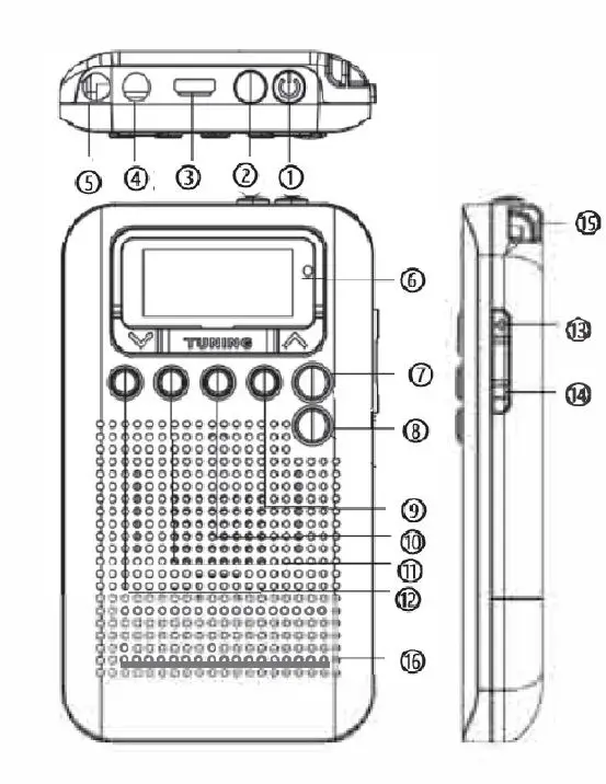 RADDY-RF31-Shortwave-Radio-Wide-Frequency-Receiver-fig1