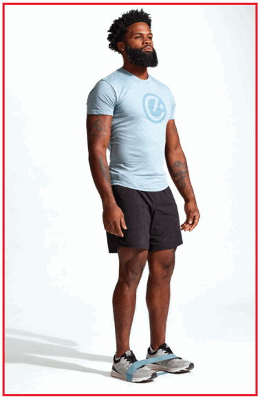 ECHELON 46284721 Mini Loop Bands - 4