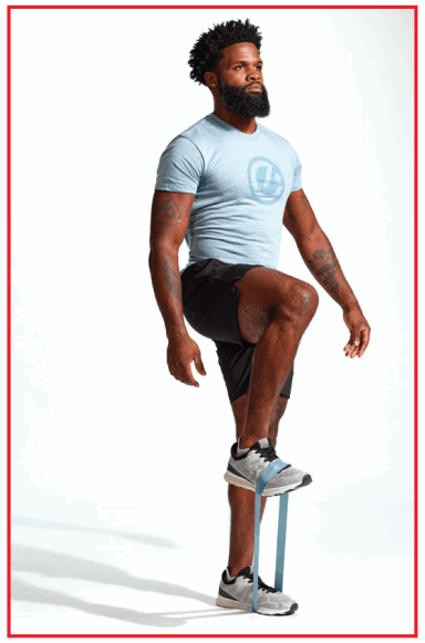 ECHELON 46284721 Mini Loop Bands - 5