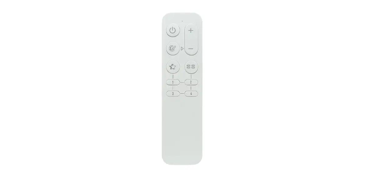 Rayrun Br03-cg Led Remote Controller User Manual