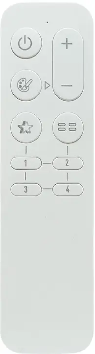 Rayrun BR03-CG LED Remote Controller-FIG1