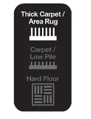 Thick Carpet/Area Rug