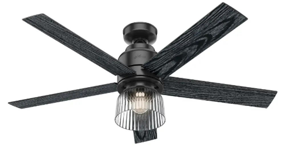 Hunter Shady Grove Low Profile Ceiling Fan