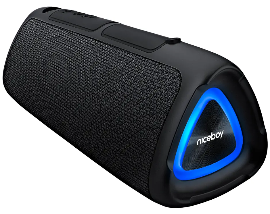 niceboy RAZE FUSION Wireless Speaker