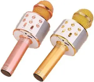 Shenzhen Dxr Electronic Technology UBDBK01 Wireless Karaoke Speaker