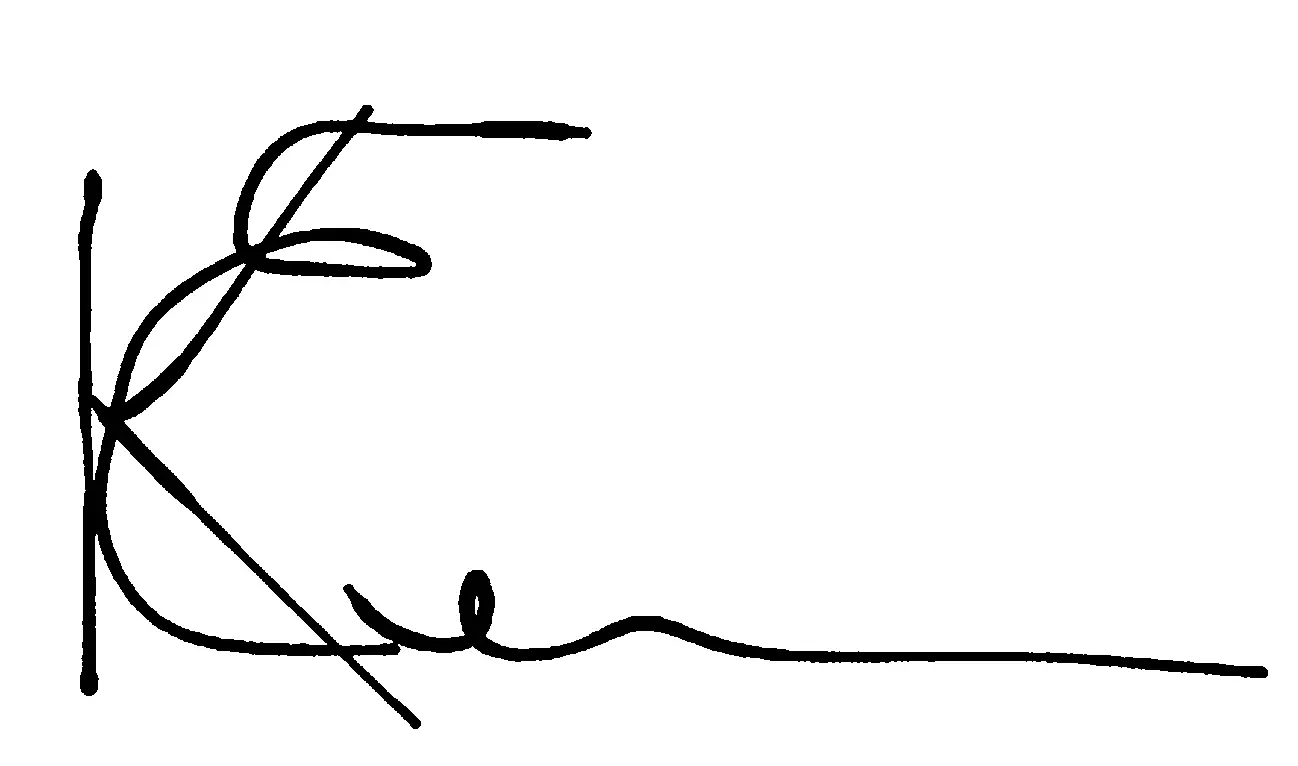 STANLEY SFMCF920 V20 Lithium Ion Battery Instructions - Signature