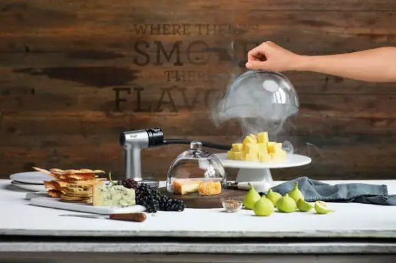 Sage Bsm600 The Smoking Gun Effortlessly Smoke At Home User Guide