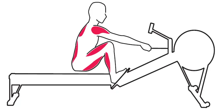 concept2-ROWERG-Rowing-Machine-fig4