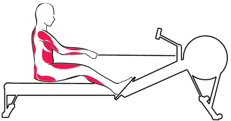 concept2-ROWERG-Rowing-Machine-fig5