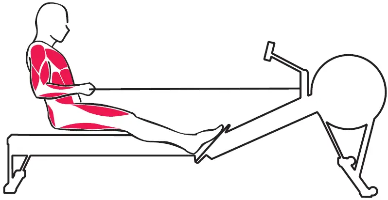 concept2-ROWERG-Rowing-Machine-fig6