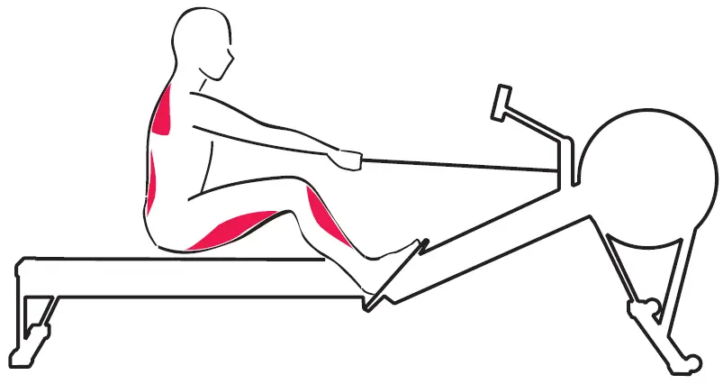 concept2-ROWERG-Rowing-Machine-fig7