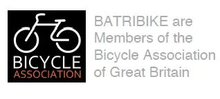 BATRIBIKE-Graphic-Display-Control-System-FIG-11