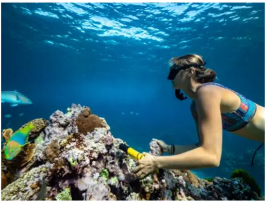 OCEAN GUARDIAN eSPEAR The Word's First Handheld Electrical Shark Deterrent - fig