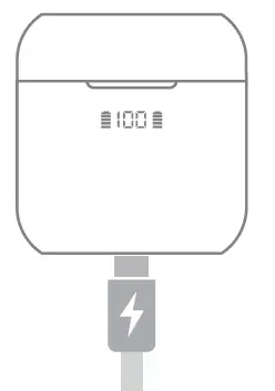 Smartsound Technology D17 True Wireless Earbuds fig 13