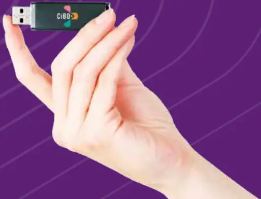 Lincat CIBO Plus High Speed Oven top D2