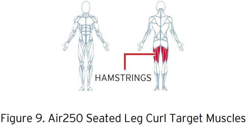 KEISER AIR250 Seated Leg Curl Machine - Fig 10