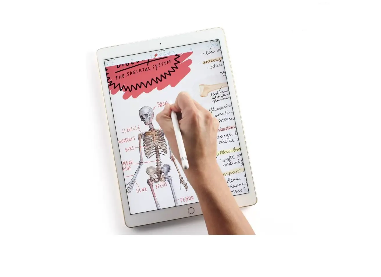 Take Notes On Ipad Take Notes On Ipad