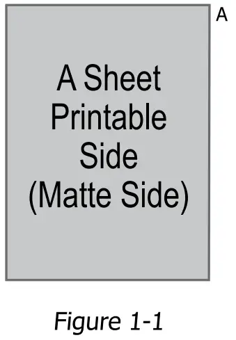 CONDE CLP015 Condé LaserMPrints TrimFree IC Dark-FIG2