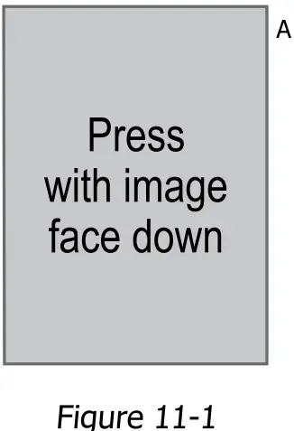 CONDE CLP015 Condé LaserMPrints TrimFree IC Dark-FIG4