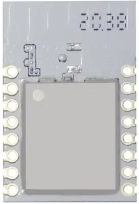 Modules-TGW206-16-Module-PRODUCT