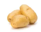 Potato