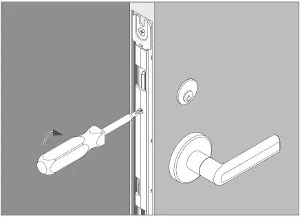 Schlage LM9200 Series Lock Installation - Tighten the cylinder retaining screw