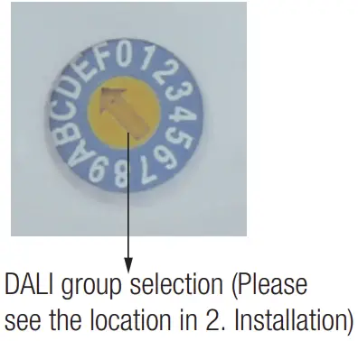 DALI group selection