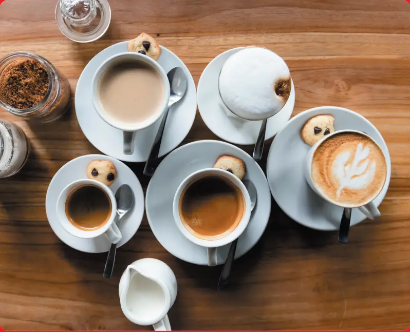 Solis Barista Perfetta Plus fig 1