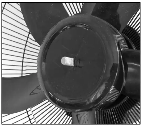 Safety Grille and Fan Blade