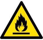 Fire Icon