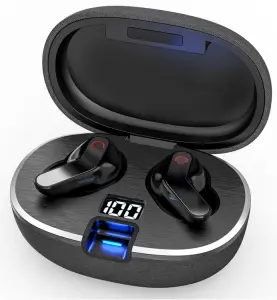 Honoto Technology AUD-A02-01 Chorus Pro Earbuds
