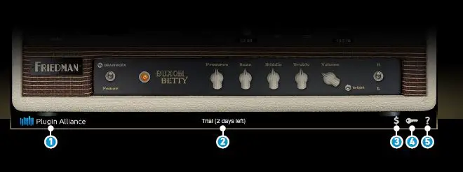 FRIEDMAN Buxom Betty 50-Watt Guitar Tube Amplifier FIG 13