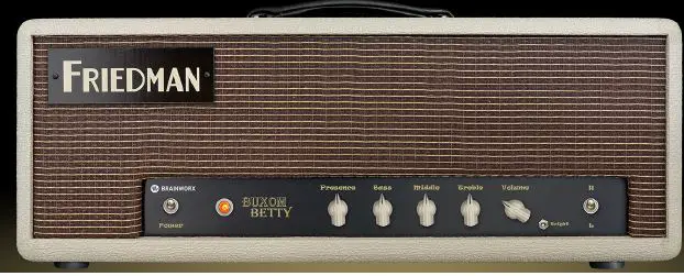 FRIEDMAN Buxom Betty 50-Watt Guitar Tube Amplifier FIG 14