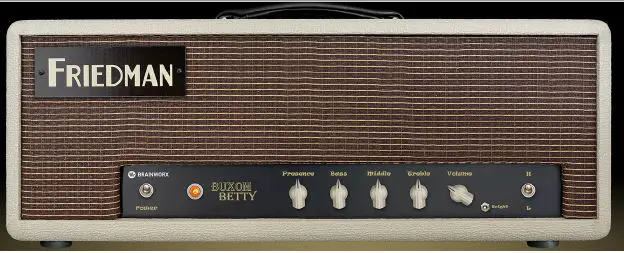 FRIEDMAN Buxom Betty 50-Watt Guitar Tube Amplifier FIG 3