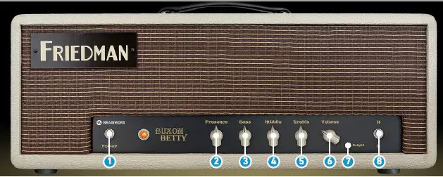 FRIEDMAN Buxom Betty 50-Watt Guitar Tube Amplifier FIG 4