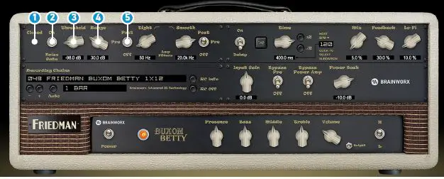 FRIEDMAN Buxom Betty 50-Watt Guitar Tube Amplifier FIG 5